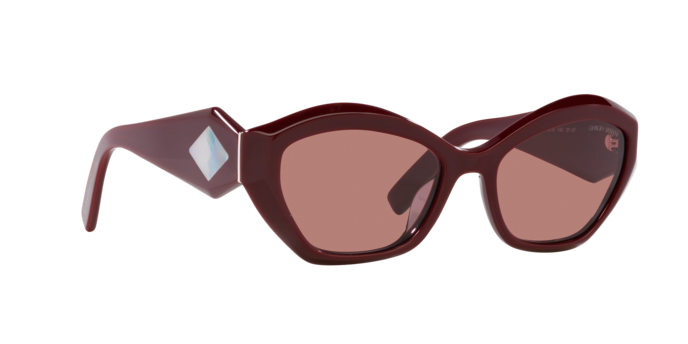 Giorgio Armani Sunglasses AR8187U 599430