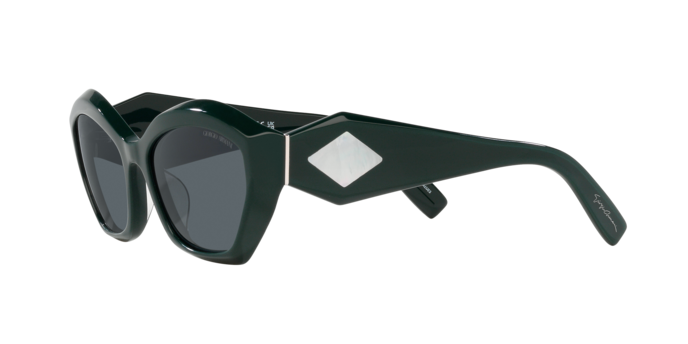 Giorgio Armani Sunglasses AR8187U 5995R5