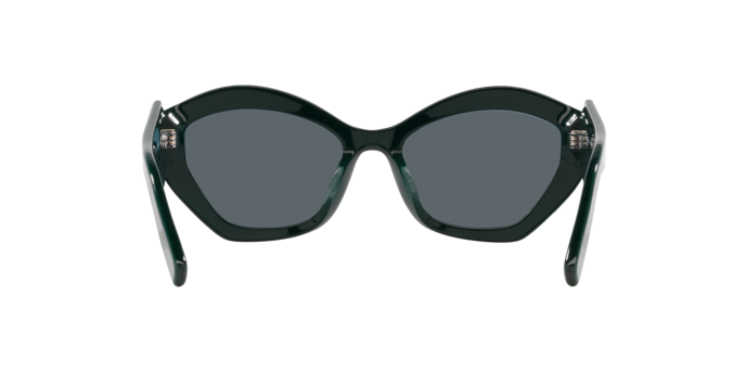 Giorgio Armani Sunglasses AR8187U 5995R5