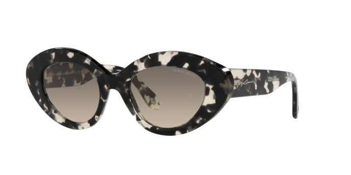 Giorgio Armani Sunglasses AR8188 587332