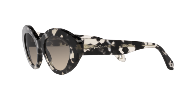 Giorgio Armani Sunglasses AR8188 587332