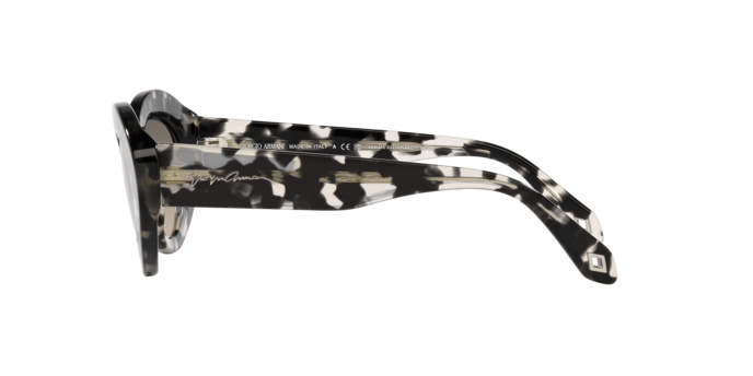 Giorgio Armani Sunglasses AR8188 587332