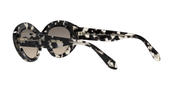 Giorgio Armani Sunglasses AR8188 587332