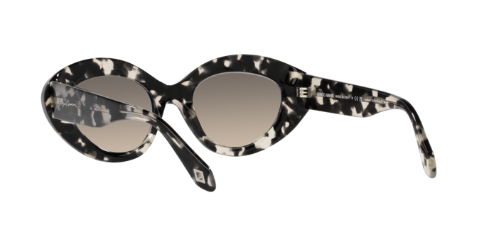 Giorgio Armani Sunglasses AR8188 587332