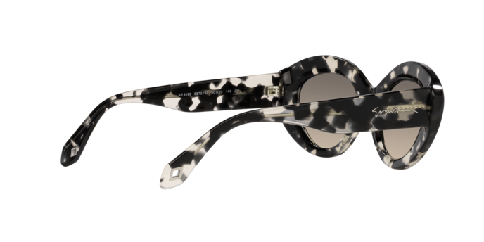 Giorgio Armani Sunglasses AR8188 587332