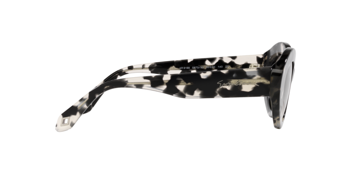 Giorgio Armani Sunglasses AR8188 587332