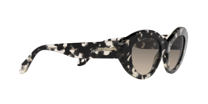 Giorgio Armani Sunglasses AR8188 587332