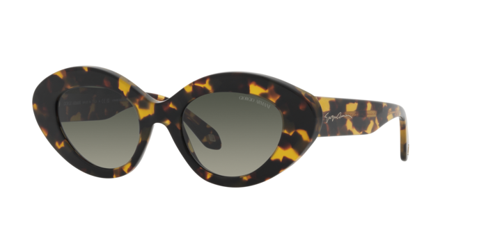 Giorgio Armani Sunglasses AR8188 587471