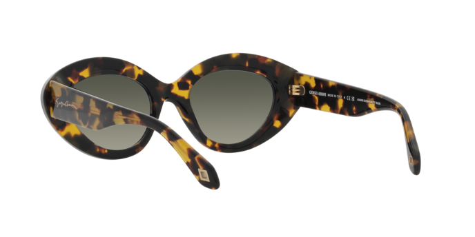 Giorgio Armani Sunglasses AR8188 587471