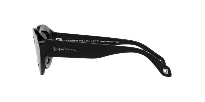 Giorgio Armani Sunglasses AR8188 5875B1