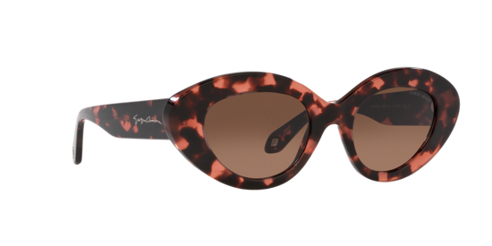 Giorgio Armani Sunglasses AR8188 59920A