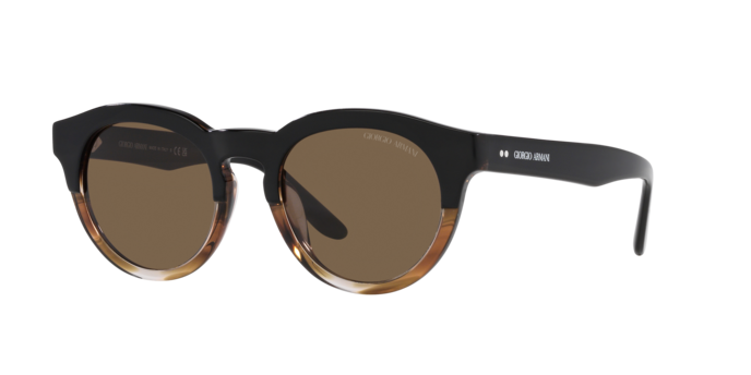 Giorgio Armani Sunglasses AR8189U 600673