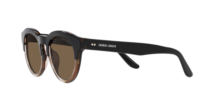 Giorgio Armani Sunglasses AR8189U 600673