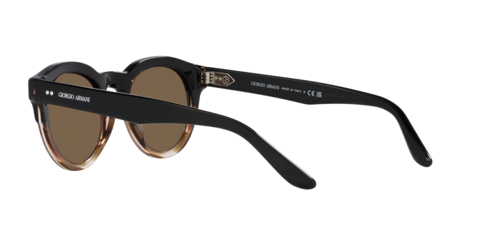 Giorgio Armani Sunglasses AR8189U 600673