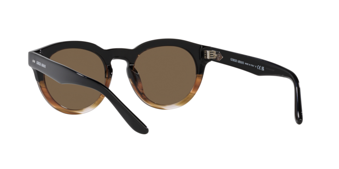 Giorgio Armani Sunglasses AR8189U 600673