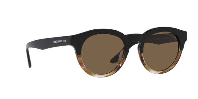 Giorgio Armani Sunglasses AR8189U 600673