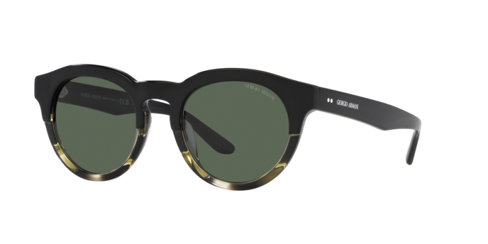 Giorgio Armani Sunglasses AR8189U 600771