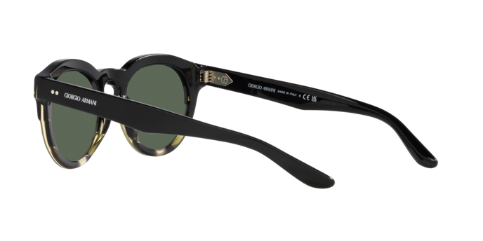 Giorgio Armani Sunglasses AR8189U 600771