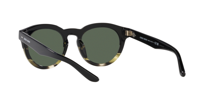 Giorgio Armani Sunglasses AR8189U 600771