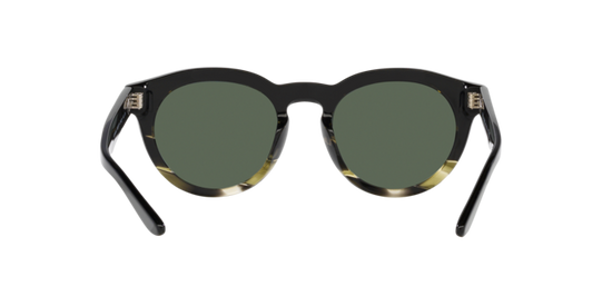 Giorgio Armani Sunglasses AR8189U 600771