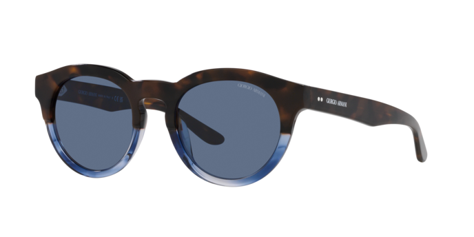 Giorgio Armani Sunglasses AR8189U 600880