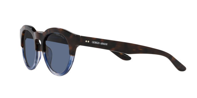 Giorgio Armani Sunglasses AR8189U 600880