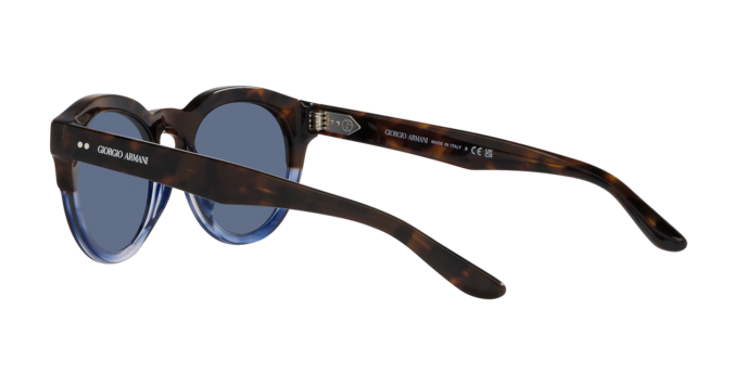 Giorgio Armani Sunglasses AR8189U 600880