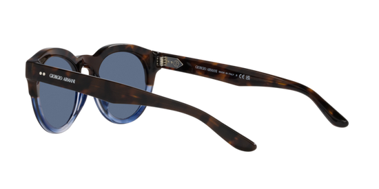 Giorgio Armani Sunglasses AR8189U 600880