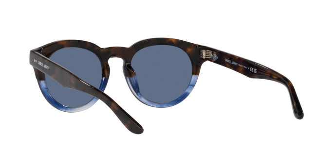 Giorgio Armani Sunglasses AR8189U 600880