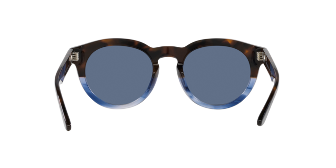 Giorgio Armani Sunglasses AR8189U 600880