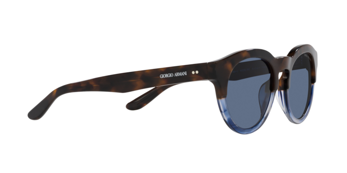 Giorgio Armani Sunglasses AR8189U 600880