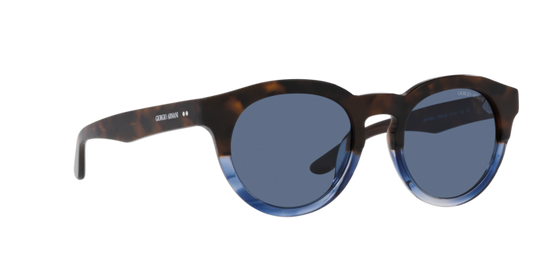 Giorgio Armani Sunglasses AR8189U 600880