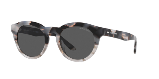 Giorgio Armani Sunglasses AR8189U 600987