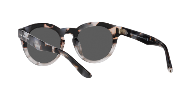 Giorgio Armani Sunglasses AR8189U 600987