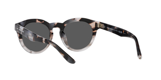 Giorgio Armani Sunglasses AR8189U 600987