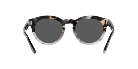 Giorgio Armani Sunglasses AR8189U 600987