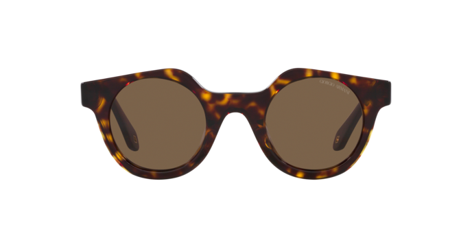 Giorgio Armani Sunglasses AR8191U 587973