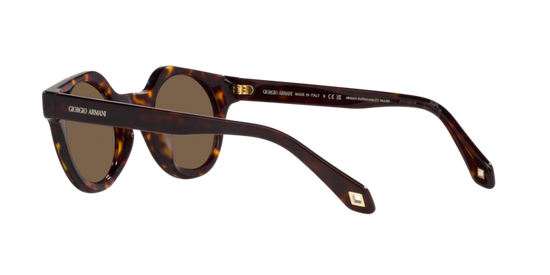 Giorgio Armani Sunglasses AR8191U 587973