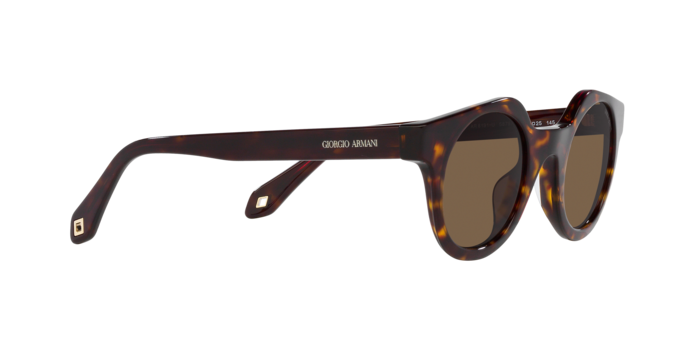 Giorgio Armani Sunglasses AR8191U 587973