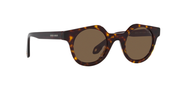 Giorgio Armani Sunglasses AR8191U 587973