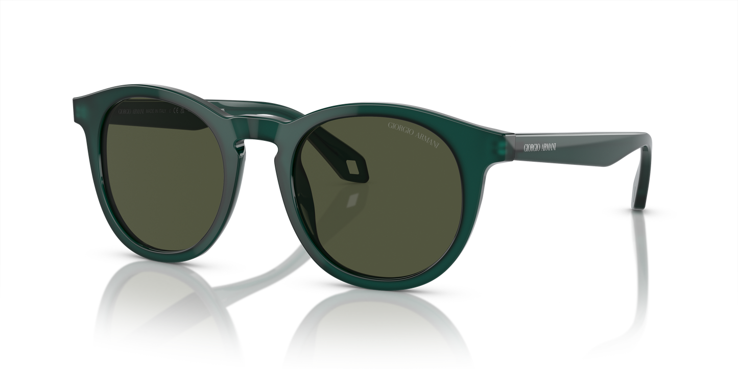 Giorgio Armani Sunglasses AR8192 604431 | LookerOnline