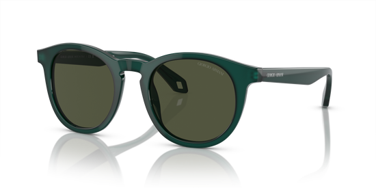 Giorgio Armani Sunglasses AR8192 604431