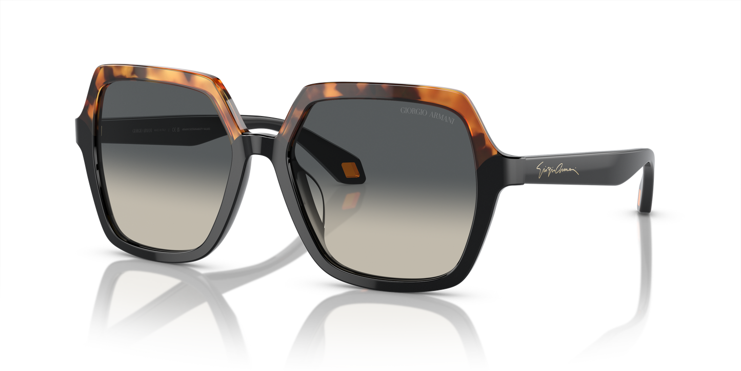 Giorgio Armani Sunglasses AR8193U 587519