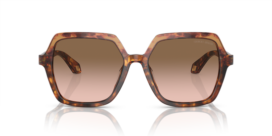 Giorgio Armani Sunglasses AR8193U 603351