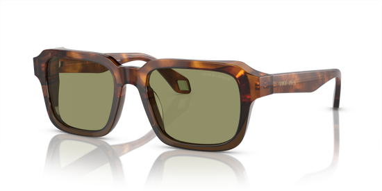 Giorgio Armani Sunglasses AR8194U 598814