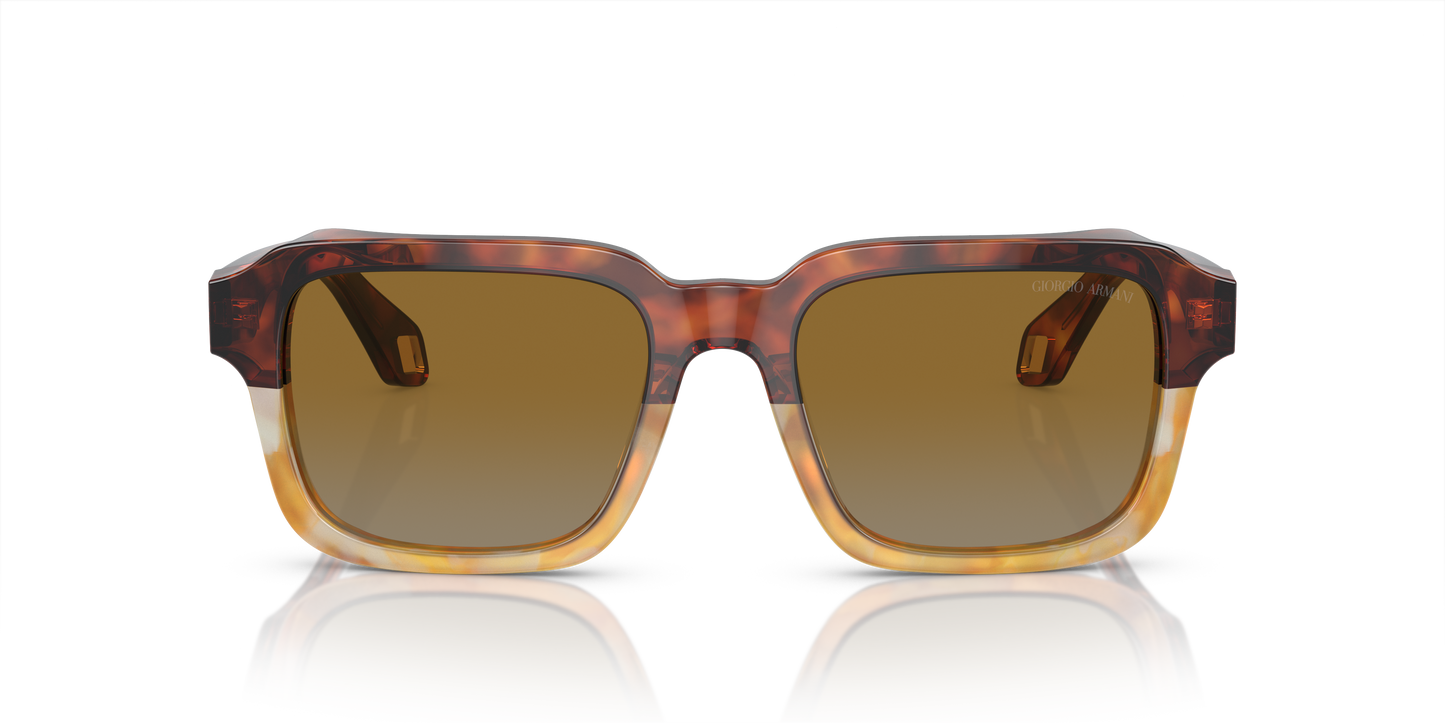 Giorgio Armani Sunglasses AR8194U 6034B2