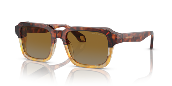 Giorgio Armani Sunglasses AR8194U 6034B2
