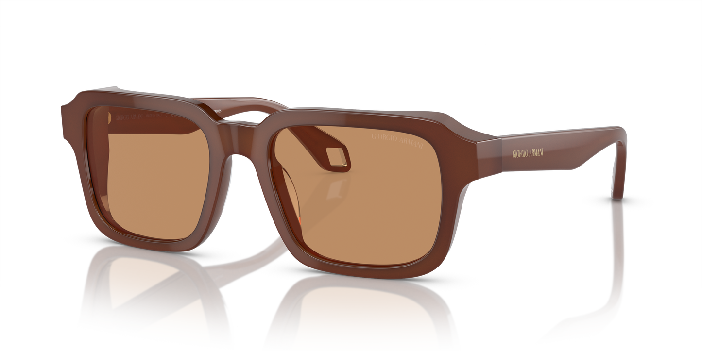 Giorgio Armani Sunglasses AR8194U 604253