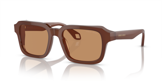 Giorgio Armani Sunglasses AR8194U 604253