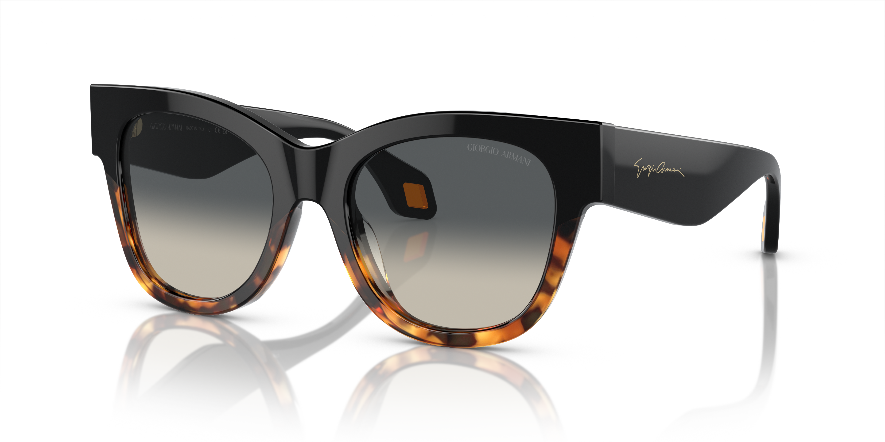 Giorgio Armani Sunglasses AR8195U 587519